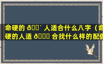 命硬的 🐴 人适合什么八字（命硬的人适 🐕 合找什么样的配偶）